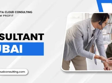 BI-Consultant-dubai