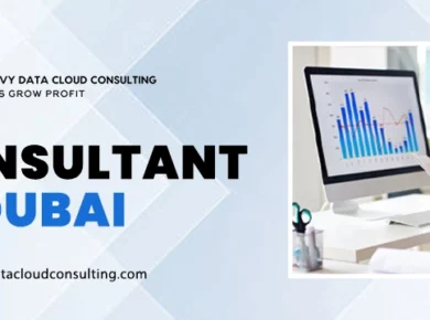 BI consultant Dubai