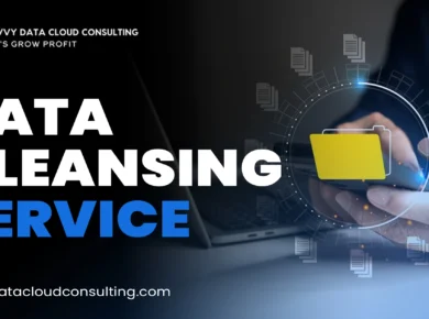 Data Cleansing Service