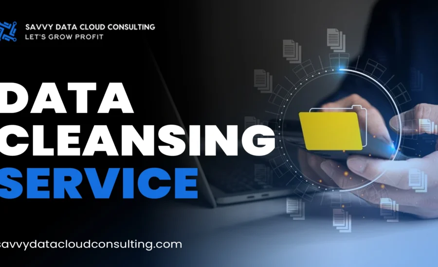 Data Cleansing Service