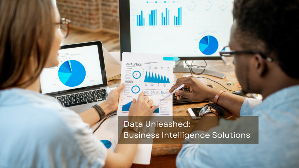 Data Unleashed Business Intelligence Solutions 