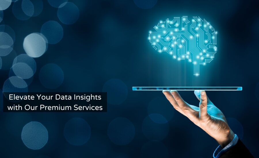 Elevate Your Data Insights with Our Premium Services
