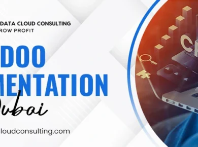 Odoo Implementation Dubai