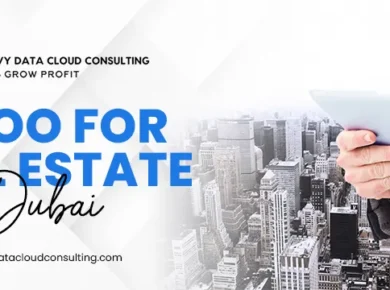 Odoo for real estate Dubai