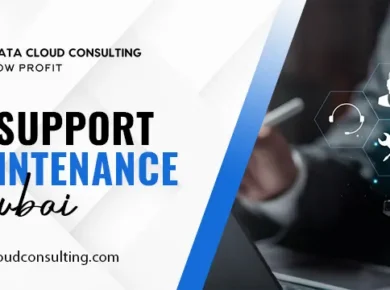 Odoo support and maintenance Dubai