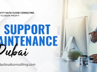 Odoo support and maintenance Dubai