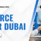 Salesforce Partner Dubai