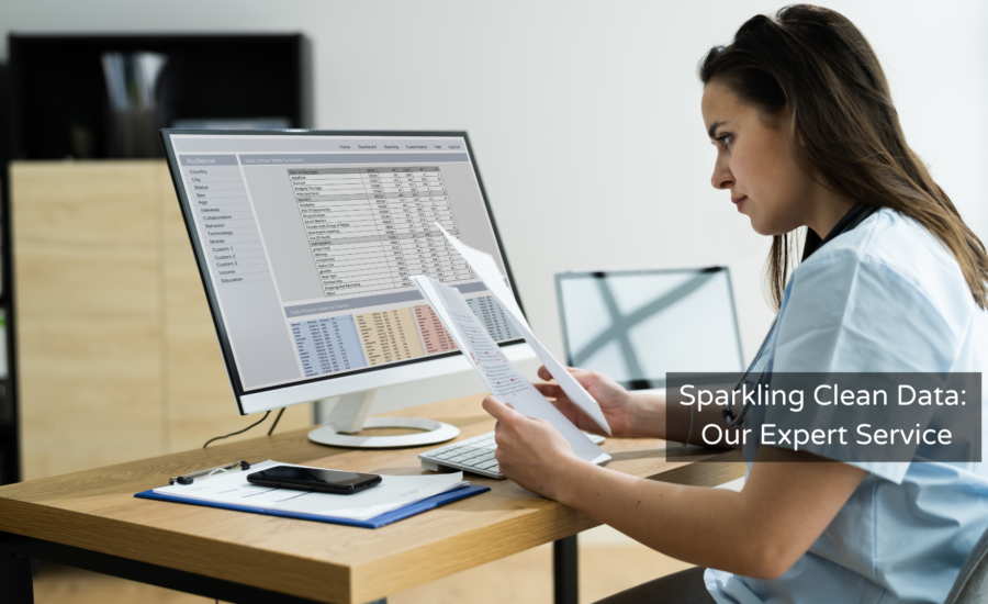 Sparkling Clean Data Our Expert Service