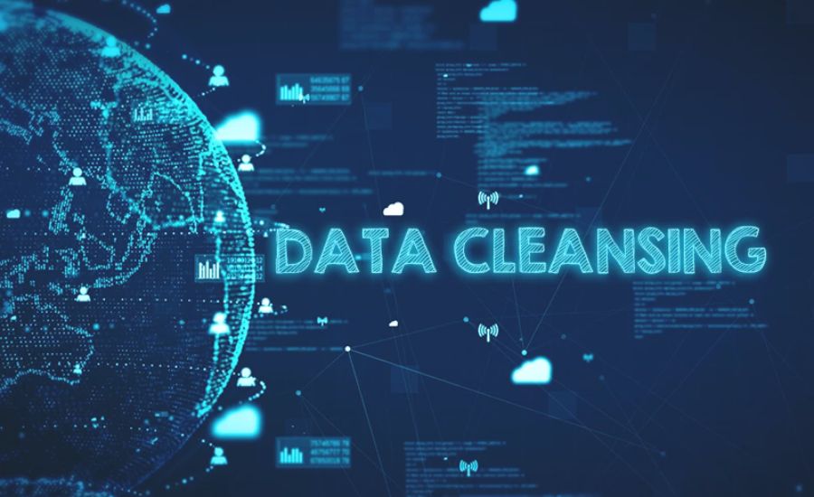 Data Cleaning Service