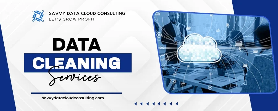 data cleaning services_