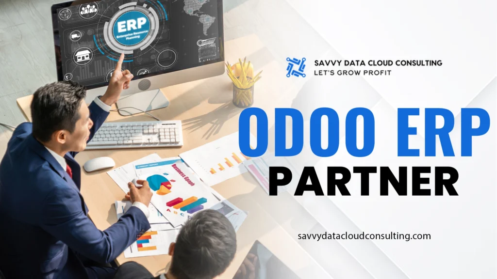 odoo erp partner