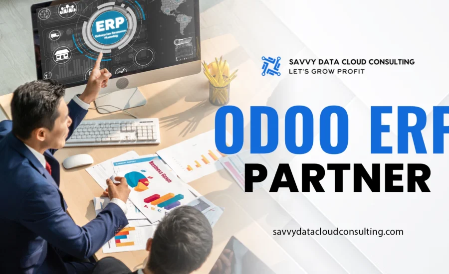 odoo erp partner