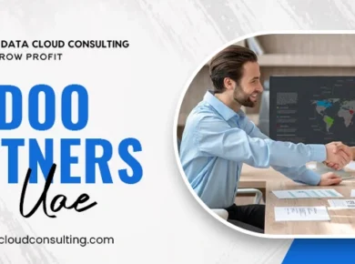 odoo partners in UAE